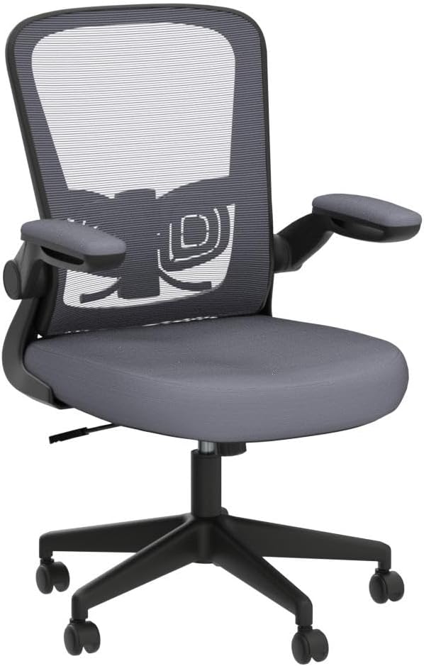 FelixKing Office Chair, Ergonomic Desk Chair with Adjustable Height and Lumbar Support Swivel Desk Computer Chair with Flip up Armrests for Conference Room (Dark Gray)