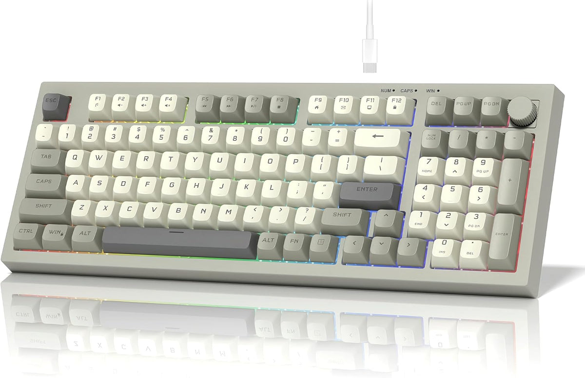 dagaladoo DK98 97 10/8.1/8/7 womier Retro Wired Gaming Keyboard Creamy Membrane with Rainbow RGB Backlight