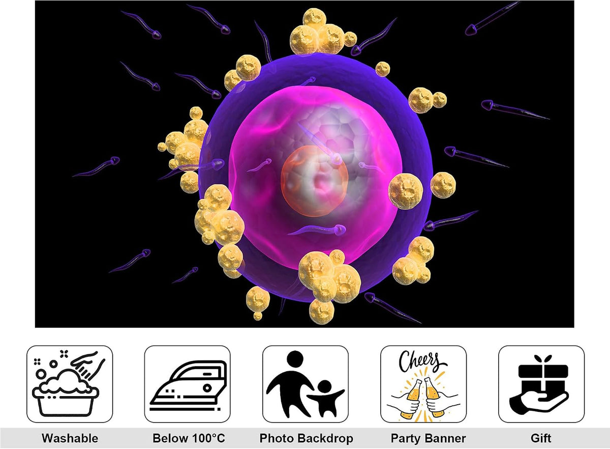 KeyWork 8x5ft Human Egg Cell Fertilization Backdrop Reproductive Science Photography Background for Health Fair