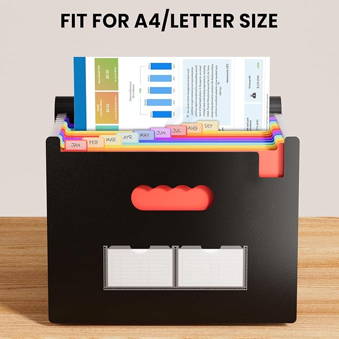 Sooez Accordion File Organizer, 13 Pockets Expanding File Folder, Portable Monthly Paper Bill Tax Receipt Organizer, Letter A4 Size Document Holder with Blank Labels, Black