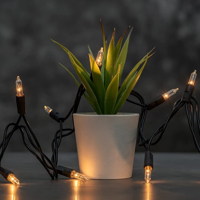 YULETIME 200 Clear Christmas Lights with Black Wire, Pack of 2 Strands of 21 ft 100 Count UL Certified Incandescent Mini String Light (Clear - Black Wire)