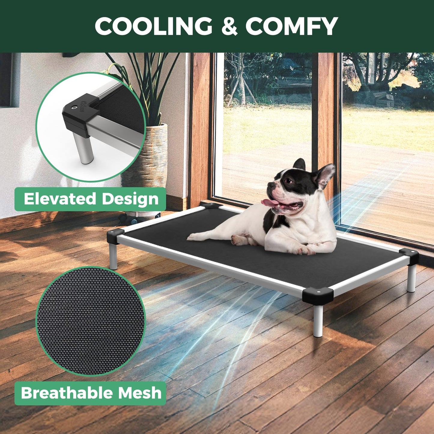 FXW TitanNest Chew-Proof Elevated Dog Bed, Raised Cot for Indoor/Outdoor/Camping Use, Durable & Waterproof Cooling Pet Bed for Extra Large Dogs, 56.0" L x 31.0" W x 7.3" H, Black
