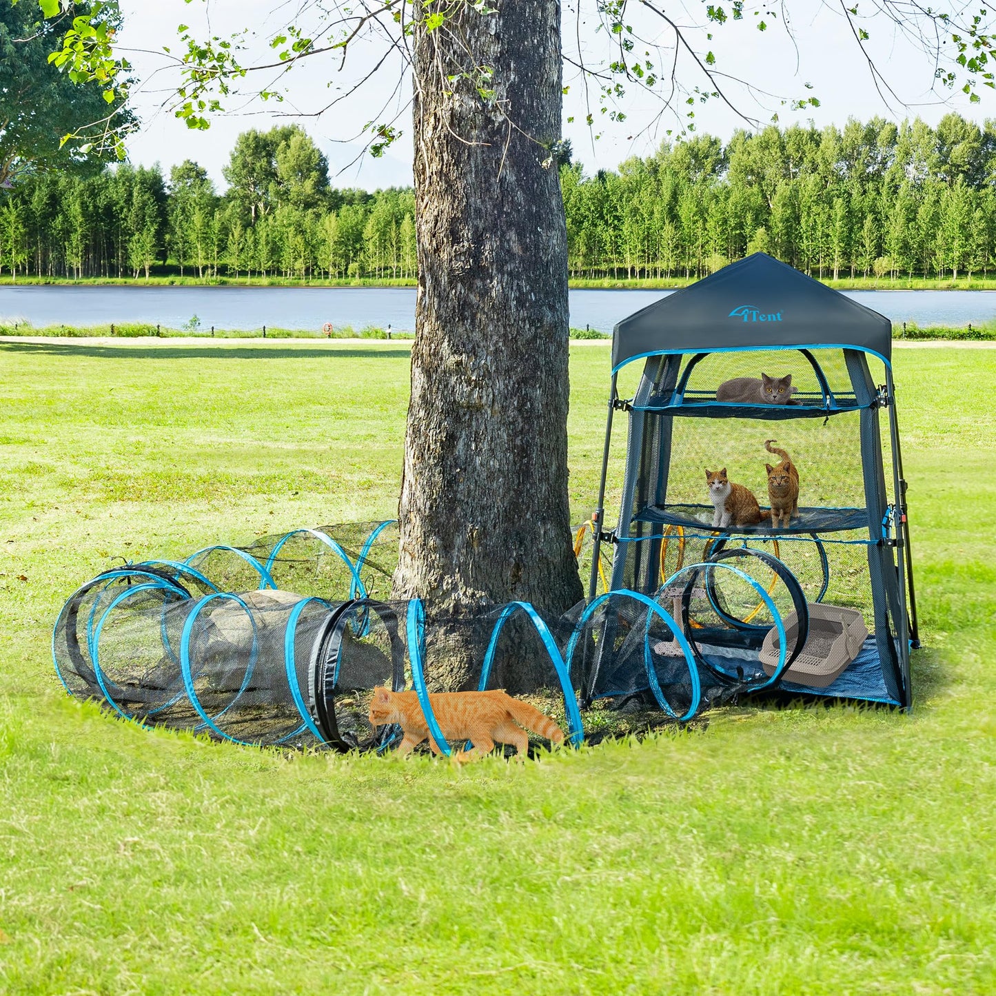 ITENT Cat Play Tunnel-for Indoors and Outdoors,Cat Tunnel Outdoor, Kitty Outdoor Enclosure, Cat Enclosures Easy to Connect with Two Zipper Doors,Product Size 59'' x 18'',3pcs /Set,Blue,3 Packs